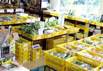 レストラン四季菜PR6｜静岡県静岡市清水JAしみずサービス（JASS）