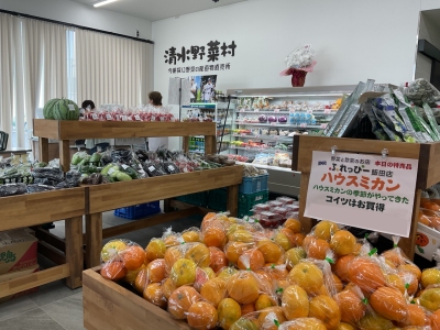 野菜と惣菜のお店ふれっぴーPR3｜静岡県静岡市清水ジェイエイしみずサービス（JASS）