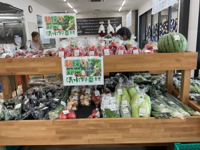 野菜と惣菜のお店ふれっぴーPR4｜静岡県静岡市清水ジェイエイしみずサービス（JASS）