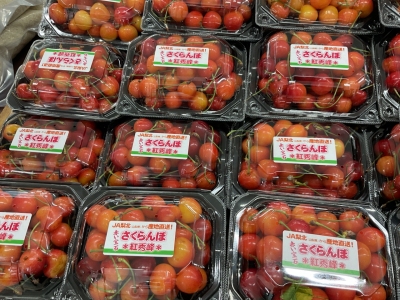 野菜と惣菜のお店ふれっぴーPR6｜静岡県静岡市清水ジェイエイしみずサービス（JASS）